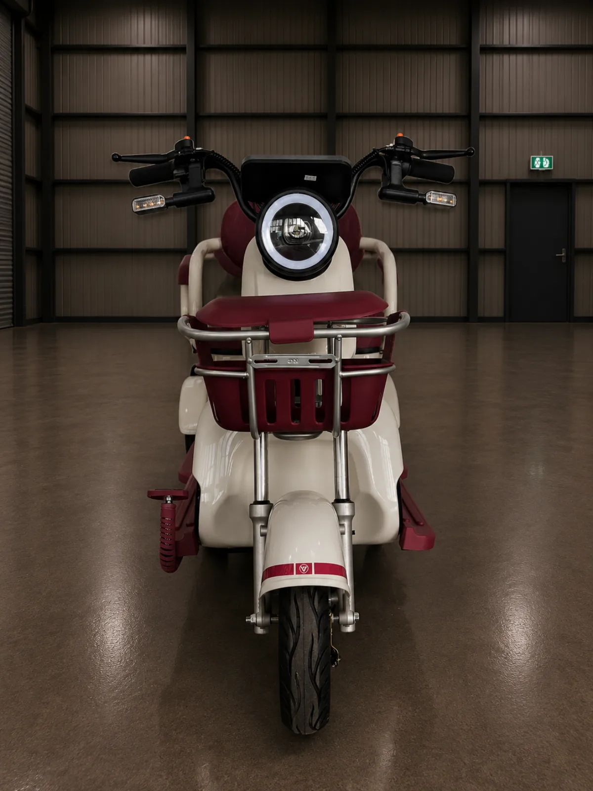 AOTU FAMILY TRIKE 500W