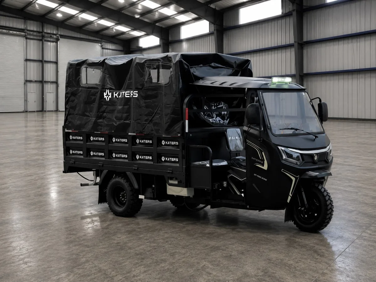 WANHU 300CC CARGO